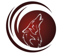 Türk Dünyası’nın Ortak Para Birimi: Ötüken Coin Yarın Tedavüle Çıkıyor