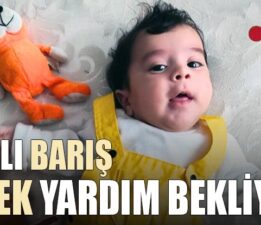 SMA Hastası Barış Bebek İçin Bursa Tek Yürek!