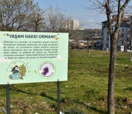 Hatıraları Yaşam Hakkı Ormanında Yaşayacak!