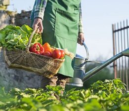 Türkiye’nin Organik Tarımı Bursa’da Buluşuyor!