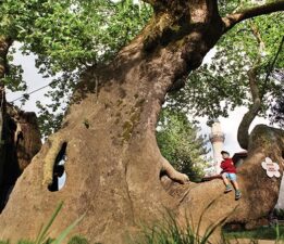 ÇINARLARIN GÖLGESİNDE İNEGÖL