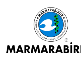 Marmarabirlik’ten Cevap! “Hayal Dünyasında Yaşayanlarla Adalet Önünde Hesaplaşacağız!”