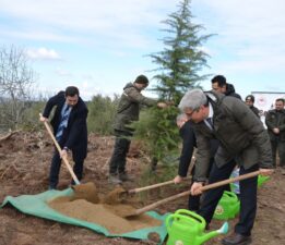 Bursa’da Denetimli Serbestlik Yükümlüleri Karaçam Fidanlarını Toprakla Buluşturdu