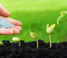 Tarım ve Peyzaj A.Ş’den Milyonluk Yatırım!