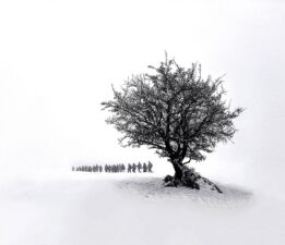 Muş’un Kalbi Burada Atıyor!