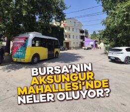 Büyükşehir Bugüne Kadar Ne Yaptı Çok Merak Ediyorum!