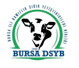 DSYB’ye KORKUSUZ Aday