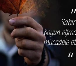 Erten Kayan Baba Dostlarını Dolaşıyor!