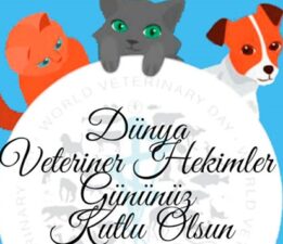EKOL KOLEJİ’NDEN GELECEĞİN DUYARLI BİREYLERİNE ÖNEMLİ BİR BULUŞMA: DÜNYA VETERİNER HEKİMLER GÜNÜ’NDE ANLAMLI SÖYLEŞİ!