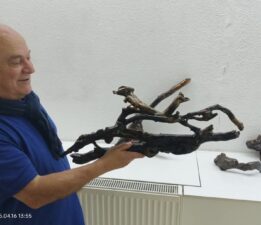 Hayvanlara Benzeyen Doğal Ağaç Dallarından Sergi Açtı