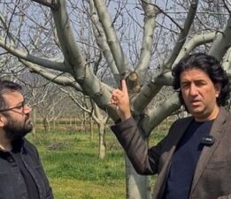 Bursa’daki zirai don sonrası Anahtar Parti’den çağrı!