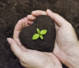 Hüseyin Cahit Akıncı; “Toprağa Dokunmak Lazım!”