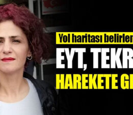 Gönül Boran Özüpak: “Mücadele Emekle Başlar, Birlikle Büyür”