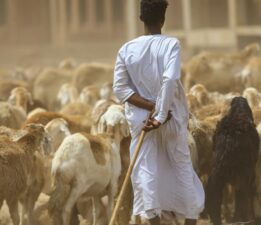 Fair World Ekibinden Kurban Bayramı Öncesi Sudan’a Anlamlı Hazırlık