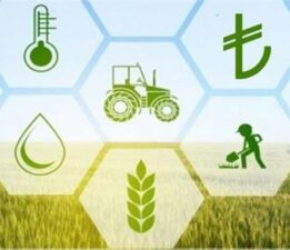 Evrensel İnsani Yardımlaşma ve Tarımsal Kalkınma Federasyonu’ndan Engelli Bireylere Destek ve Kırsal Kalkınma Hamlesi