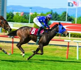 Jandarma Kupası Koşusu Bursa’da Coşkuyla Gerçekleşti