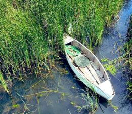 Uluabat Gölü’nde Kaçak Avcılığa Geçit Yok: 30 Kişiye 427 Bin TL Ceza