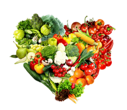 Evrensel İnsani Yardım Federasyonu’ndan Tarım ve Hayvancılığa Stratejik Destek Çağrısı