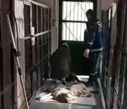 Aydınlık Geleceğin Partisi Genel Başkan Yardımcısı ve Bursa İl Başkanı Ayhan Çolak’tan Osmangazi Barınağı Olayına Sert Tepki