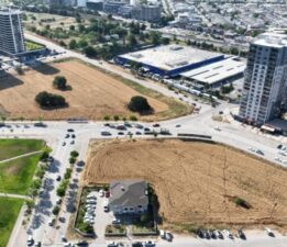 BURSA’DA DİRENİŞİN SİMGESİ OLDU:   GÖKDELENLERİN ORTASINA BUĞDAY EKTİ, 150 MİLYONLUK TEKLİFİ REDDETTİ!