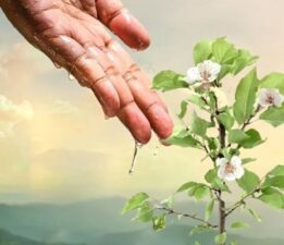 “Yeşil bir geleceğin tohumu, köylünün yüreğinde filizlendi.”