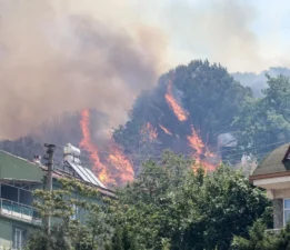 Her Zaman Vatandaşlarımızın Yanlarındayız