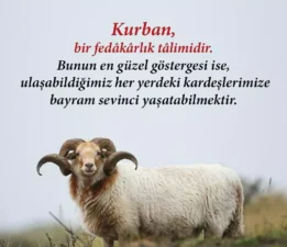 Fuat Kadıoğlu’ndan Kurban Bayramı Mesajı: “Gönüllerin Birleştiği Bir Bayram Olsun”