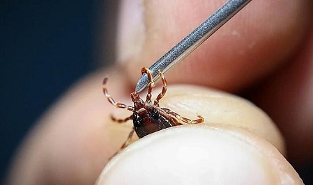 “Temizlik Gecikirse, Sağlık Kirlenir”   Yıldırım İçin El Ele Platformu’ndan Yaz Ayları İçin Alarm: Haşere Tehlikesi Büyüyor!