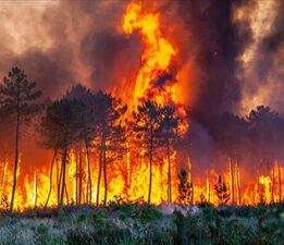 Osmangazi İsmetiye’de Yangın Felaketi: “Uyardık, Dinlemediler; Köy Göz Göre Göre Yandı!”