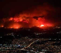 Yanan Ağaçlar Değil, Ortak Vicdanımız!