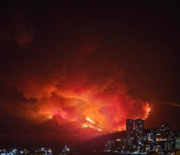 “Ormanlar Kül Oluyor!”