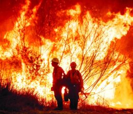 Genel Başkan Davutoğlu Bursa’da Halkla Buluştu: “Yanınızdayız, Birlikte Güçlüyüz”