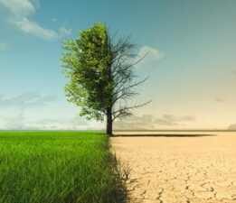 Bekin’den Kuraklıkla Mücadele ve Tarım Destekleri Üzerine 6 Maddelik Soru Önergesi