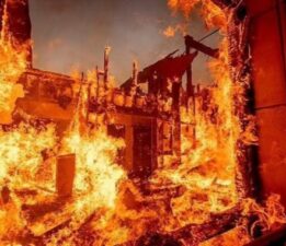 “Yangın Sadece Ormanı Değil, Vicdanları da Yaktı”