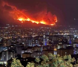 “Doğayı Bilmeyenler, Ormanları Yönetmesin!”