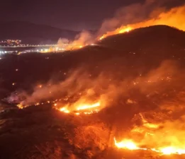 Askıda İzmir’den Sert Çıkış: “Ormanlar Yanmıyor, Umutlarımız Kül Oluyor! Herkes Harekete Geçmeli!”
