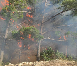 Ülkemize Kurulan Sinsi Tuzak: ÇAM