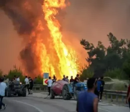 Gemlik’ten Yalanlama… “Orman Yangını İftirasının Altında Kalacaksınız!”