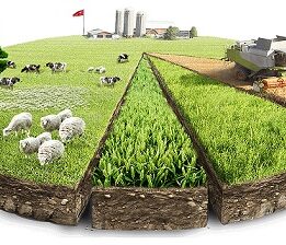 Tarım ve Hayvancılığa Yeni Bir Yol Haritası