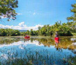“Doğanın İncisi Göz Göre Göre Çürümeye Terk Ediliyor!”