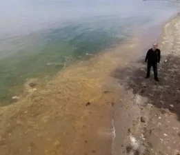 Gemlik’te Skandal Tablo! Pislik Denize Sorumlular Seyirde!