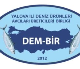 Marmara’da müsilaj yeniden baş gösterdi, balıkçılar endişeli