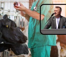 Fikret Aslan: Şap krizi ile ülkeye 5 Milyar dolar zarar verildi