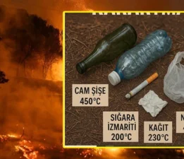 “Yangınlar, çöpler ve sigara için seferberlik ilan edilmelidir!”