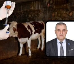 A Parti Mustafakemalpaşa’dan şap hastalığı açıklaması: “Görülmemiş olay”