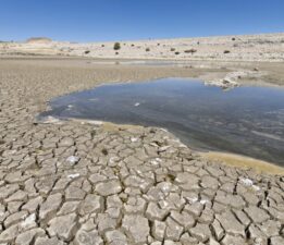 Bursa Ovası’ndan Yükselen Çığlık: “Sudan İbarettik, Suyu da Tükettiler!”