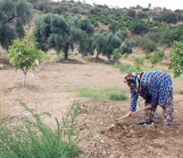 “Köylü Üretmezse, Şehir Aç Kalır!”