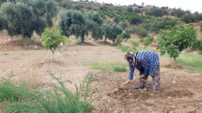 “Köylü Üretmezse, Şehir Aç Kalır!”
