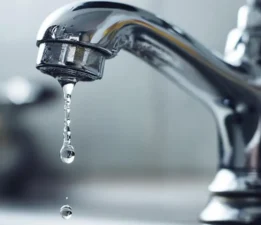 Cihat Gazi; Bursa Susuzluğa Mahkum Edilemez!