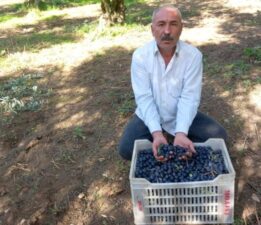 CHP’li Eşiyok’tan Marmarabirlik’e Sert Tepki: “Bir Avuç Üyeli Kooperatif Kadar Olamadınız!”